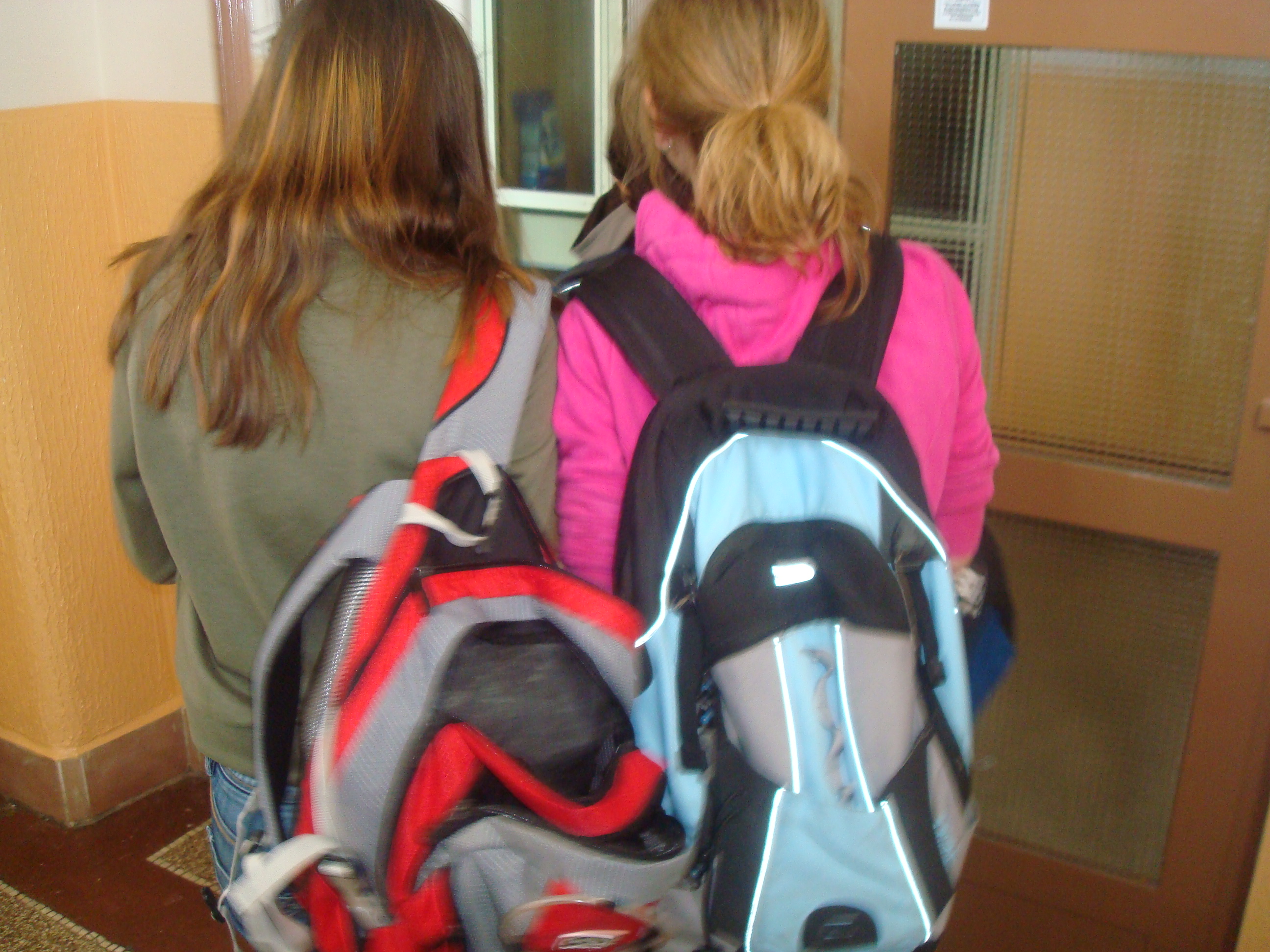 Vlčková a Venhauerová